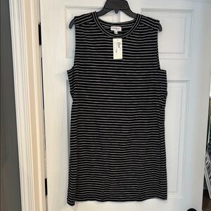 Evereve Black and White Striped Dress